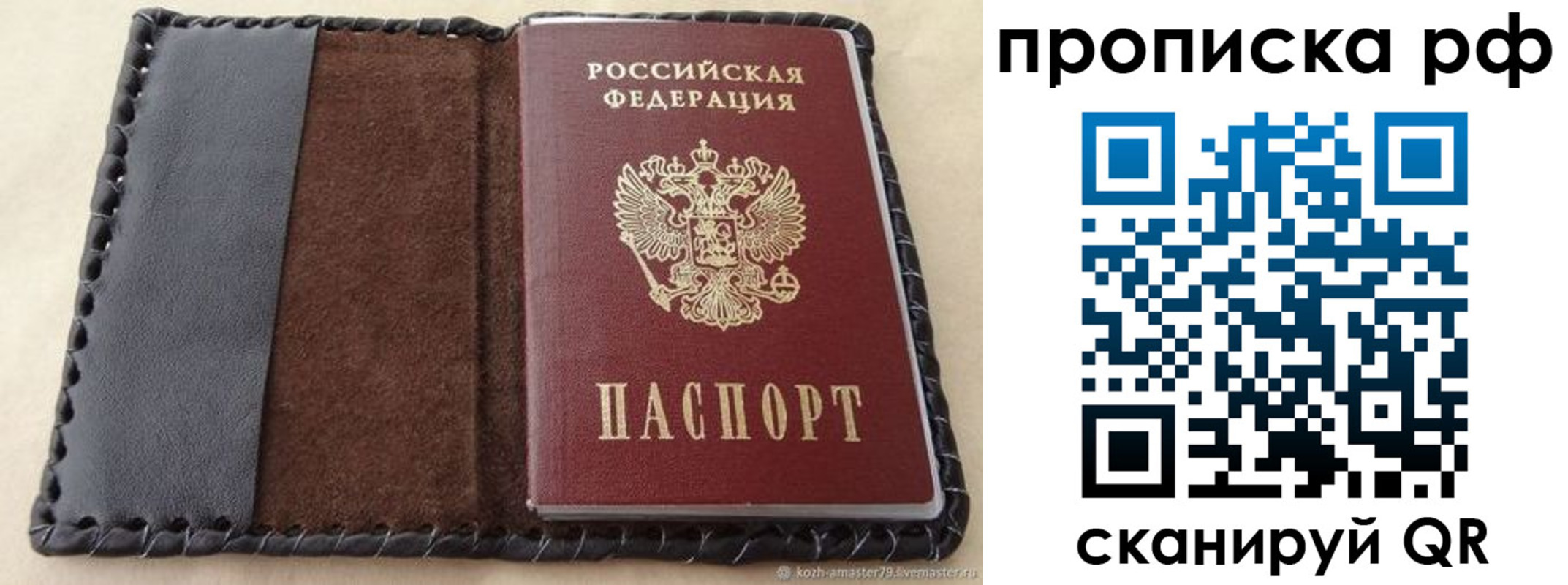 прописка 2025 в Камышине